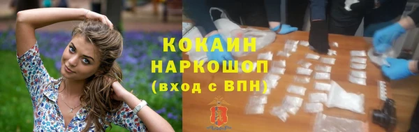 сатива Сафоново