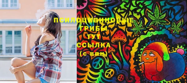 альфа пвп Саяногорск