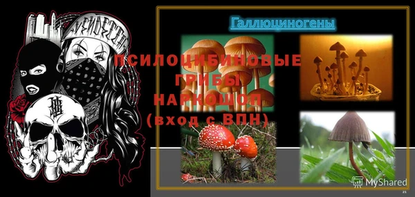 альфа пвп Саяногорск