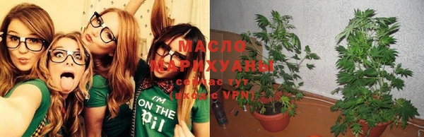 сатива Сафоново